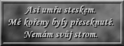 asi01.jpg