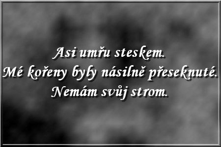 asi02.jpg