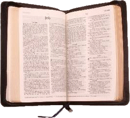 bible.gif